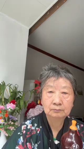 鸿雁插图