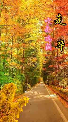电葫芦丝吹奏《走卒》请老师指教插图