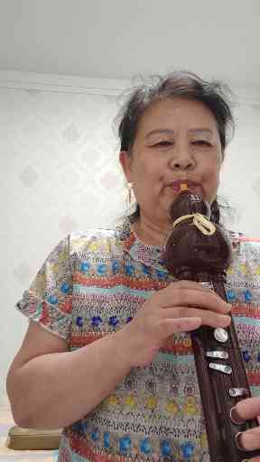 思念陪着大雁飞插图