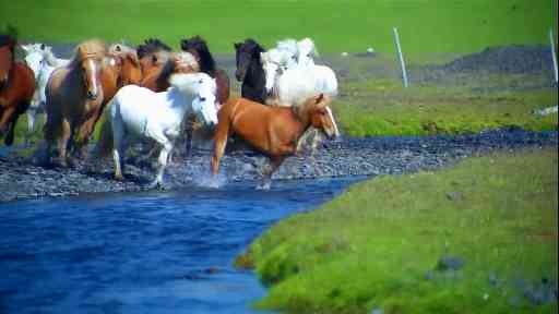 草原上升起不落的太阳插图