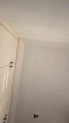 女儿情打拍子吹奏插图