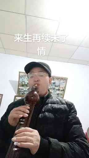 来生再续未了情插图