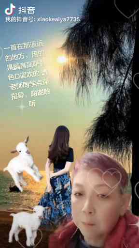 一首在那遥远的地方，用的是颤音高萨音色D插图