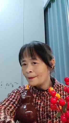 轻吹《葬花吟》插图